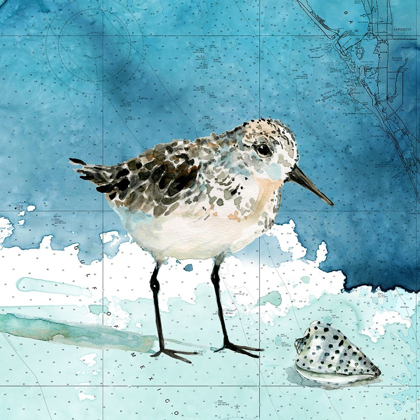 Picture of BAY SHORE SANDPIPER I