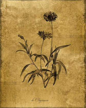 Picture of GOLD SKETCH BOTANICAL I