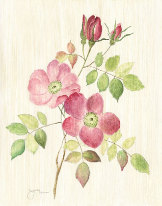 Picture of DUSTY ROSE I
