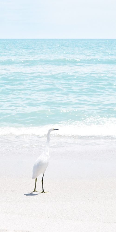 Picture of SUMMER EGRET I