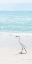 Picture of SUMMER EGRET II