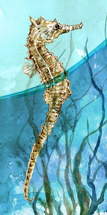 Picture of DELRAY SEAHORSE I