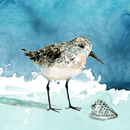 Picture of DELRAY SANDPIPER I