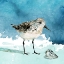 Picture of DELRAY SANDPIPER I