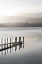 Picture of DUSKY DAWN