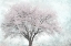 Picture of A FEEL OF SPRING I
