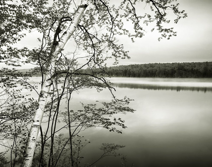 Picture of ADIRONDACK REFLECTIONS