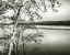 Picture of ADIRONDACK REFLECTIONS