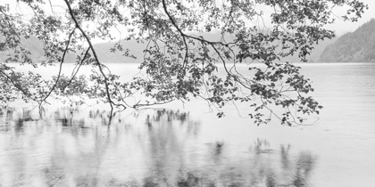 Picture of LAKE CRESCENT