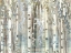 Picture of BIRCH WOOD MEADOW