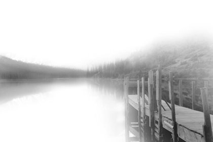 Picture of MIST ON THE DOCKS