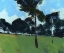 Picture of MOORLAND PINES