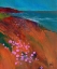 Picture of SEA PINKS