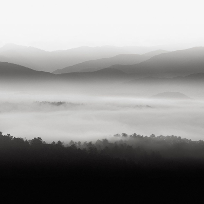 Picture of STILL MORNING SMOKY MOUNTAINS
