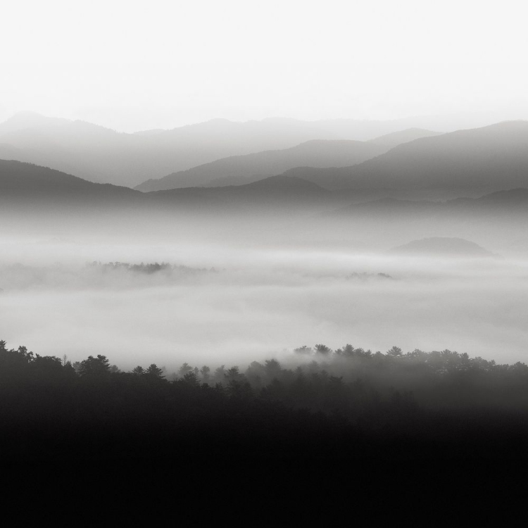 Picture of STILL MORNING SMOKY MOUNTAINS