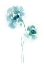Picture of TEAL FLORALS