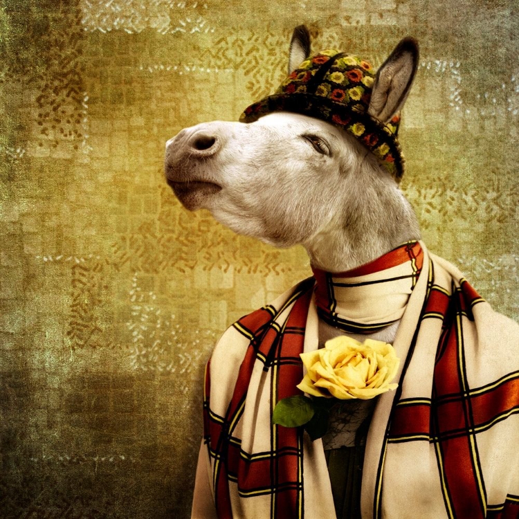 Picture of THE FASHION VICTIM