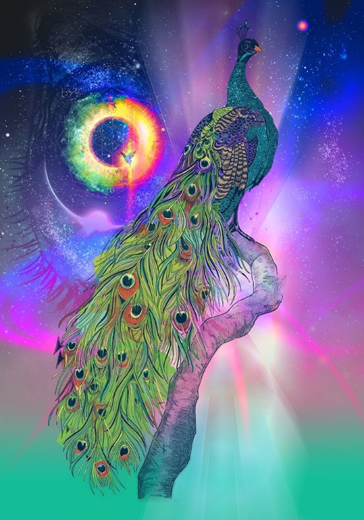 Picture of COSMIC PEACOCK