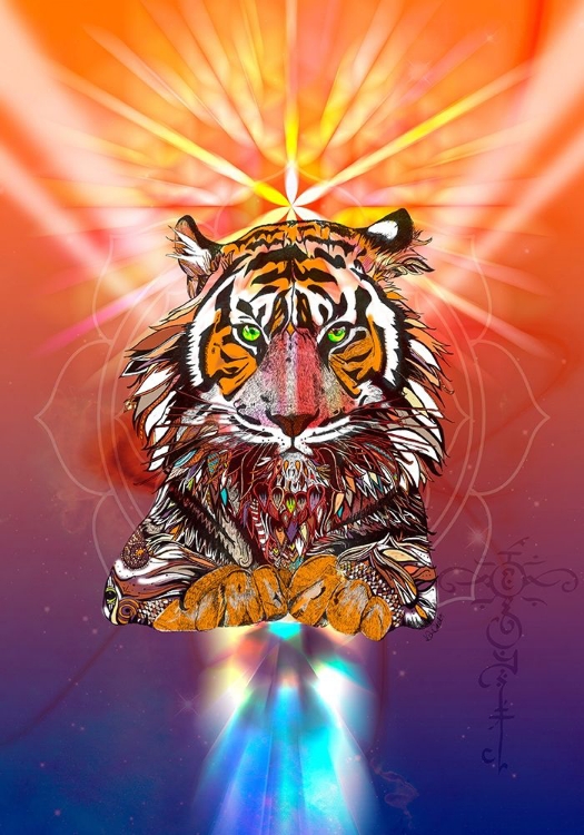Picture of COSMIC TIGER