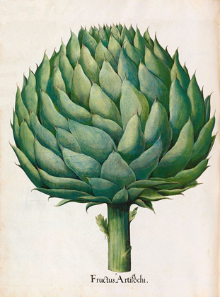 Picture of ARTICHOKE