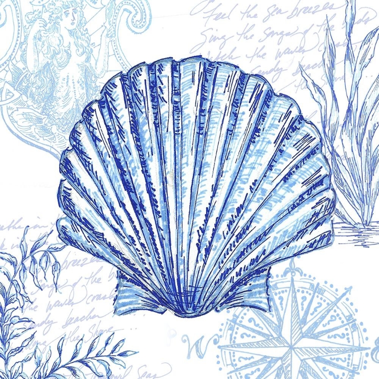 Picture of COASTAL SKETCHBOOK-SCALLOP 