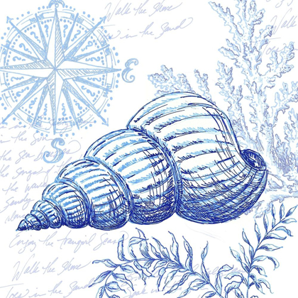 Picture of COASTAL SKETCHBOOK-SEA SHELL 