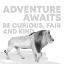 Picture of SERENGETI SENTIMENT NEUTRAL III-LION