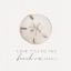 Picture of SANDY SAND DOLLAR