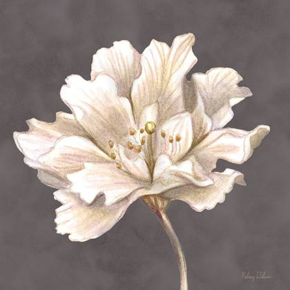 Picture of CREAM WILLOW BLOSSOM I
