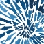 Picture of BLUE FLORAL BURST I