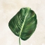 Picture of TROPICAL LEAVES I