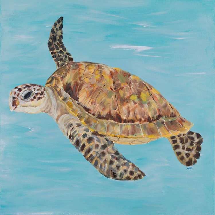 Picture of TURTLE IN THE BLUE SEA II