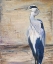 Picture of TROPIC HERON 11