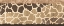 Picture of EXOTIC SAFARI 2