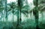 Picture of PALM GREENS