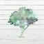 Picture of WATERCOLOR TREE 1