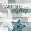 Picture of MERMAID STARFISH 2