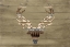 Picture of DEER ON THE WALL MATE