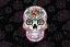 Picture of ROSES AND SKULL