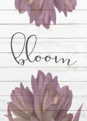 Picture of BLOOM GROW 2