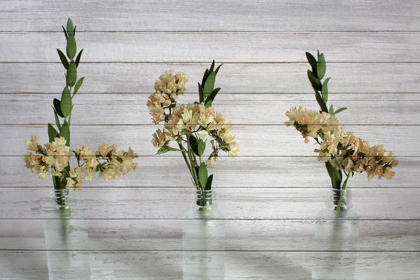 Picture of THREE VASES 1