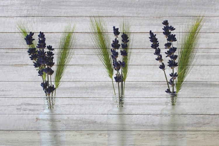 Picture of THREE VASES 2