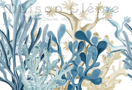 Picture of COASTAL CORAL 1