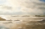 Picture of GOLDEN SEA