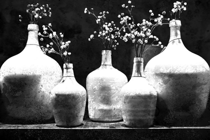 Picture of MONOCHROME VASES