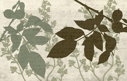 Picture of SAGE 3