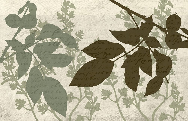 Picture of SAGE 3