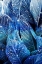 Picture of MIDNIGHT PALM LEAVES 1