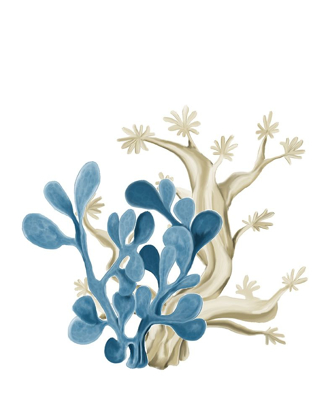 Picture of COASTAL CORAL 3