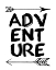 Picture of ADVENTURE 2